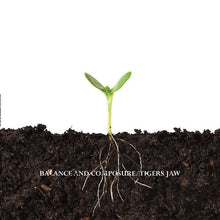 Load image into Gallery viewer, TIGERS JAW & BALANCE AND COMPOSURE - SPLIT LP