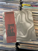 Load image into Gallery viewer, ANATOMIA – DECAYING IN OBSCURITY 2XLP (USED)
