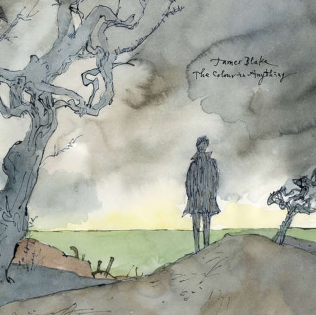 BLAKE, JAMES - COLOR IN ANYTHING LP
