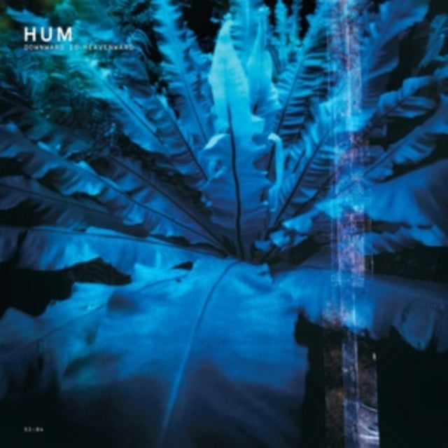 HUM - DOWNWARD IS HEAVENWARD 2XLP