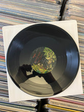 Load image into Gallery viewer, WINO – PUNCTUATED EQUILIBRIUM LP + 10" (USED)
