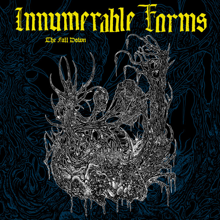 INNUMERABLE FORMS - THE FALL DOWN CS