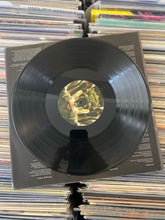 Load image into Gallery viewer, MIDLAKE – THE COURAGE OF OTHERS LP (USED)
