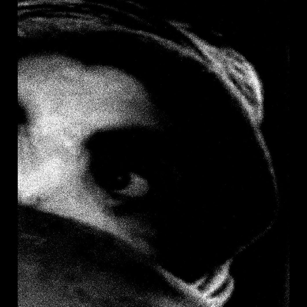 BODY, THE - THE CRYING OUT OF THINGS LP