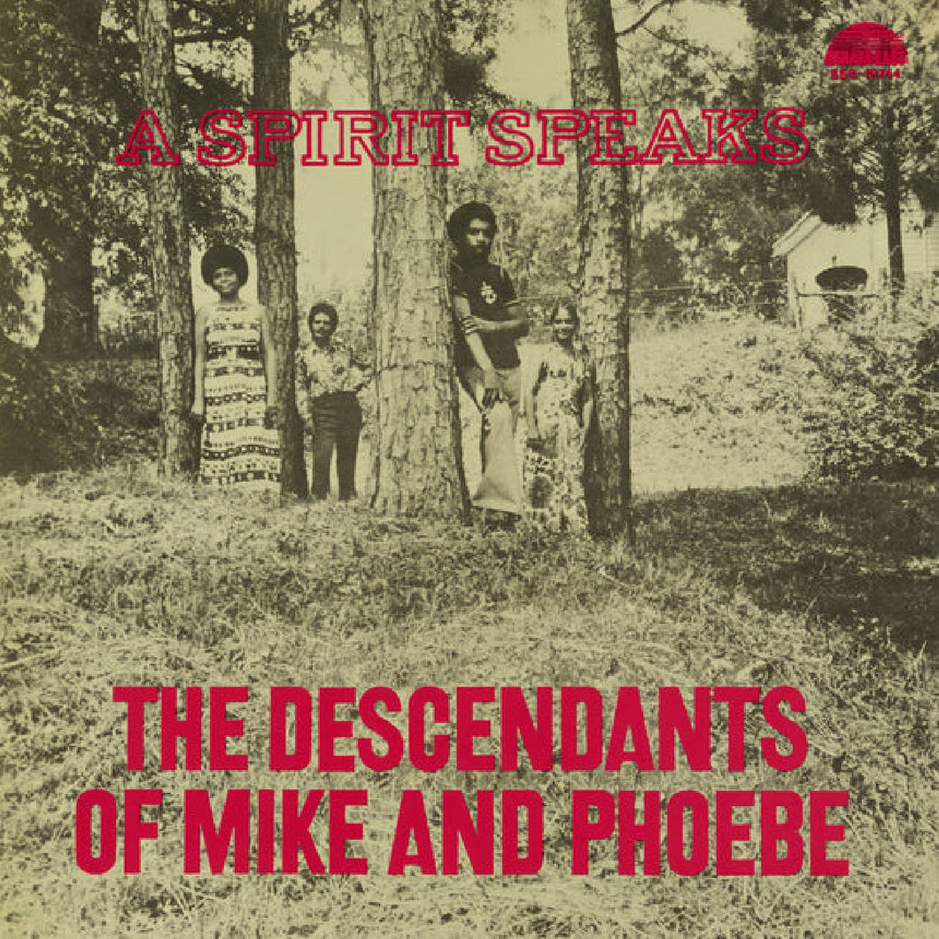 DESCENDANTS OF MIKE AND PHOEBE, THE & BILL LEE - A SPIRIT SPEAKS LP