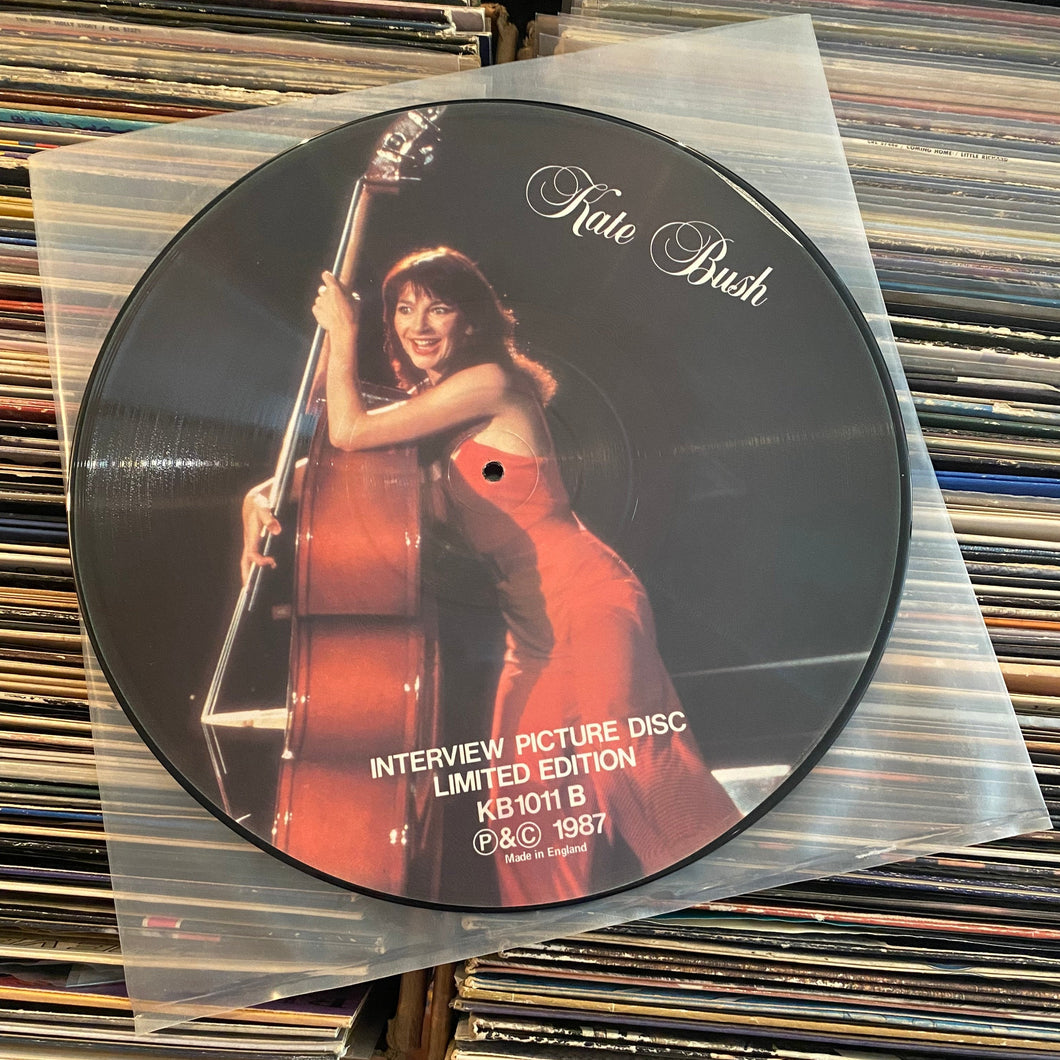 BUSH, KATE - INTERVIEW PICTURE DISC 12