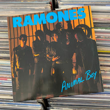 Load image into Gallery viewer, RAMONES ‎– ANIMAL BOY LP (USED, &#39;86 OG)
