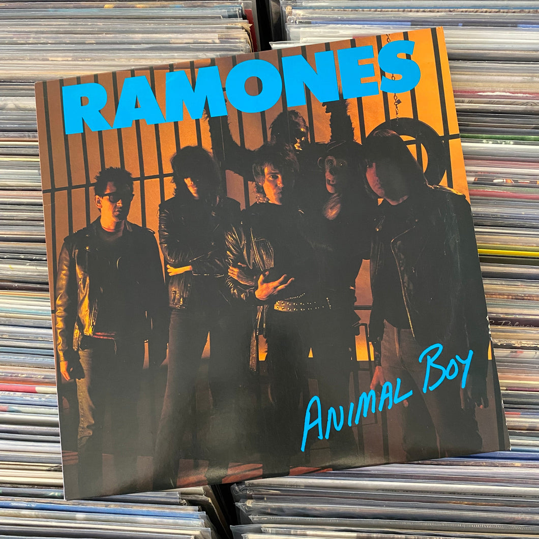 RAMONES ‎– ANIMAL BOY LP (USED, '86 OG)