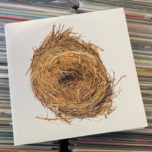 Load image into Gallery viewer, WILCO – A GHOST IS BORN 2XLP (USED)
