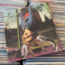 Load image into Gallery viewer, PILE – MAGIC ISN&#39;T REAL LP (USED, MIXED VINYL)
