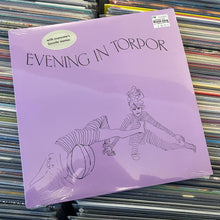 Load image into Gallery viewer, EVENING IN TORPOR – S/T LP (SEALED!)

