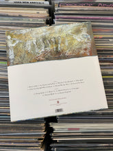 Load image into Gallery viewer, MEWITHOUTYOU – BROTHER, SISTER LP (USED, PURPLE/CYAN VINYL)
