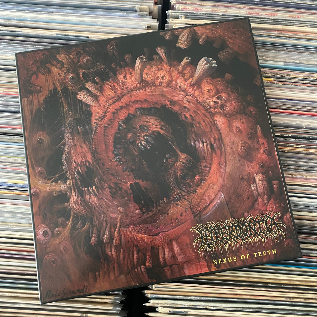 HYPERDONTIA – NEXUS OF TEETH LP (USED, CLEAR VINYL)