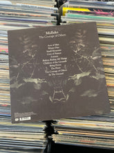 Load image into Gallery viewer, MIDLAKE – THE COURAGE OF OTHERS LP (USED)
