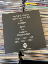 Load image into Gallery viewer, WHITE DEATH - S/T LP (USED, SILVER VINYL)
