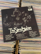 Load image into Gallery viewer, BLIND ILLUSION ‎– THE SANE ASYLUM LP (USED)
