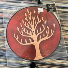 Load image into Gallery viewer, GOJIRA – THE LINK LP PICTURE DISC (USED)
