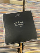 Load image into Gallery viewer, BUSH, KATE - HOUNDS OF LOVE 12&quot; (USED)
