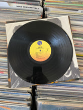 Load image into Gallery viewer, RAMONES ‎– ANIMAL BOY LP (USED, &#39;86 OG)
