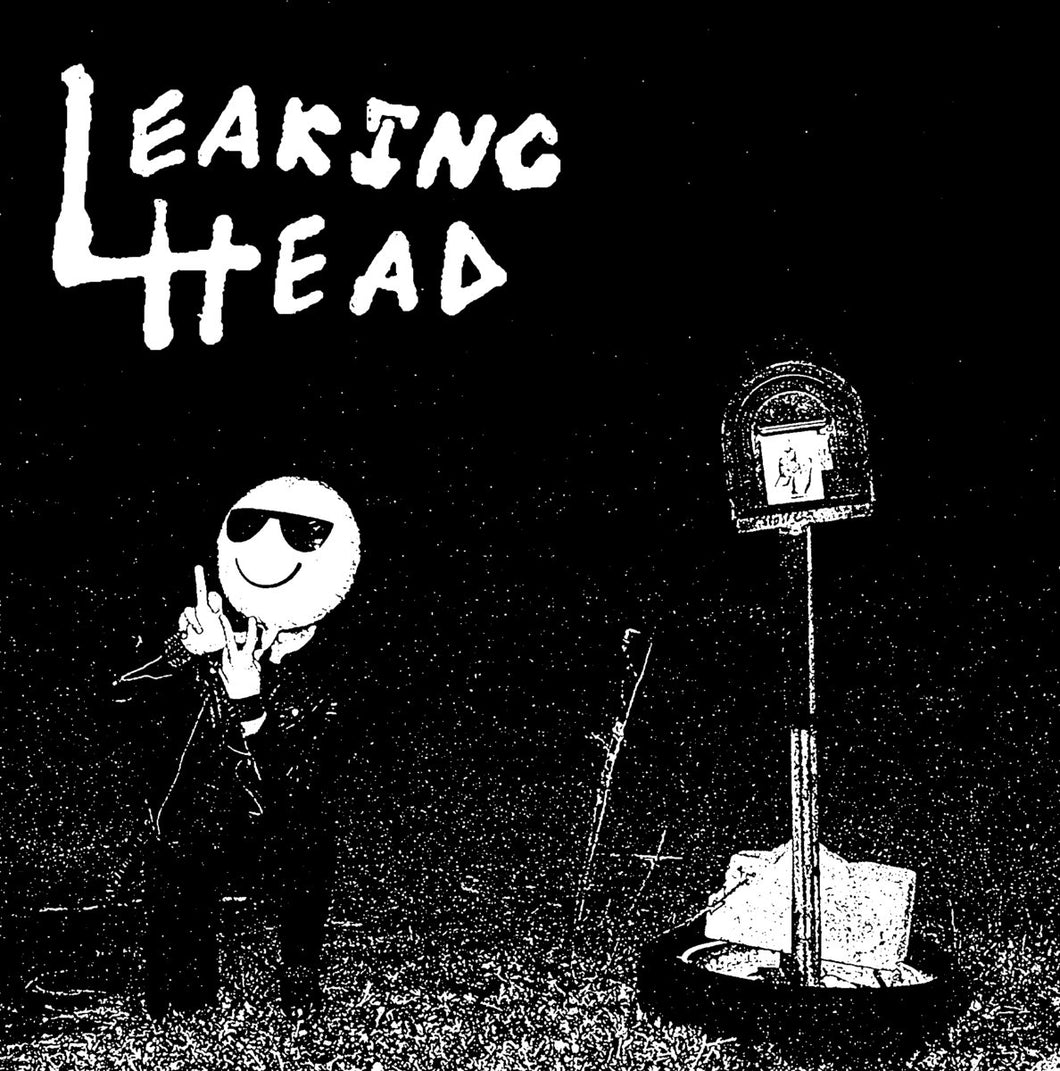 LEAKING HEAD - BETTER HOMES AND GARDENS 7