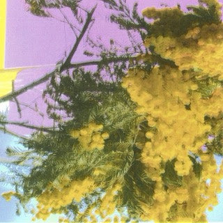 FOUR TET - INTO DUST (STILL FALLING) 12