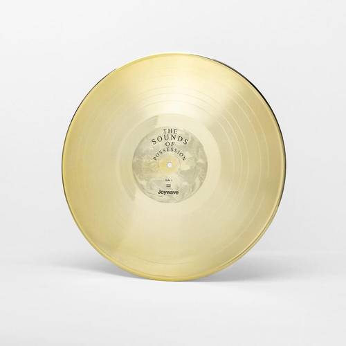 JOYWAVE - POSSESSION LP