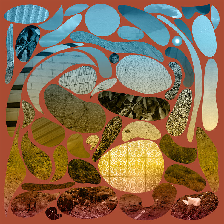PEDRO THE LION - PHOENIX 2XLP