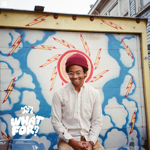 TORO Y MOI - WHAT FOR? LP