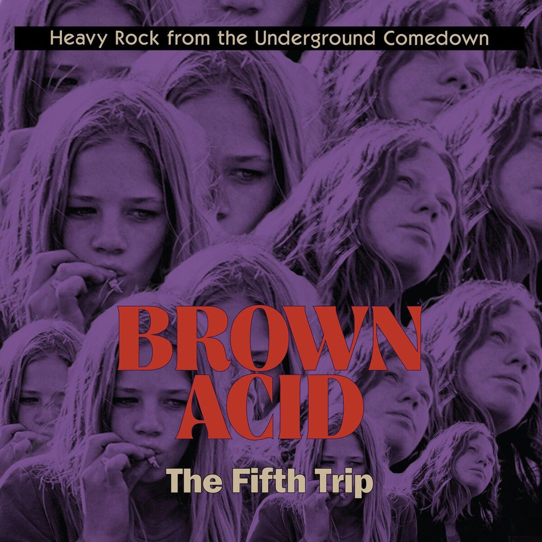 V/A - BROWN ACID: THE FIFTH TRIP LP