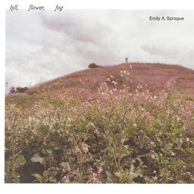 SPRAGUE, EMILY A. - HILL, FLOWER, FOG LP