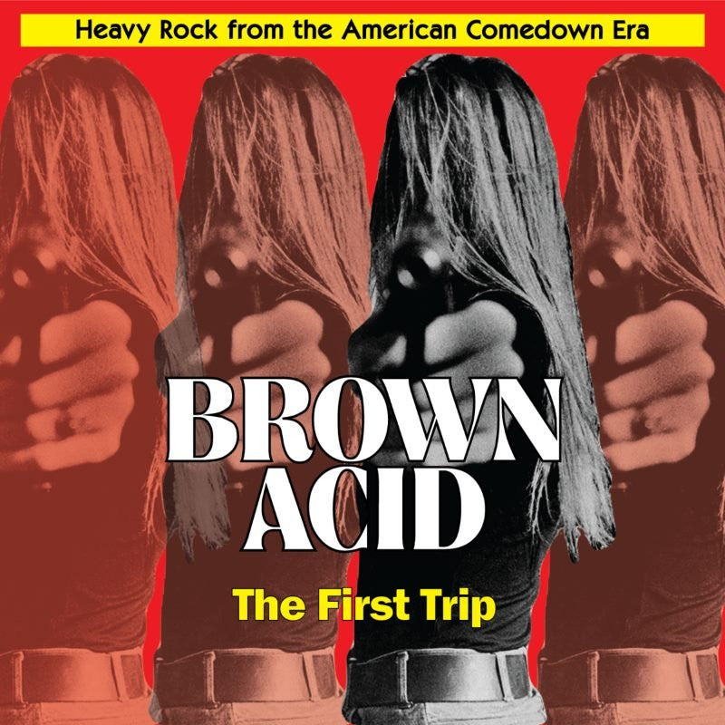 V/A - BROWN ACID THE FIRST TRIP LP