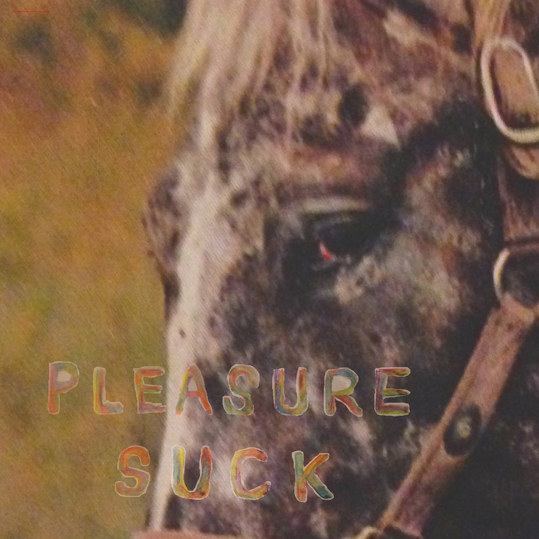 SPIRIT OF THE BEEHIVE - PLEASURE SUCK LP