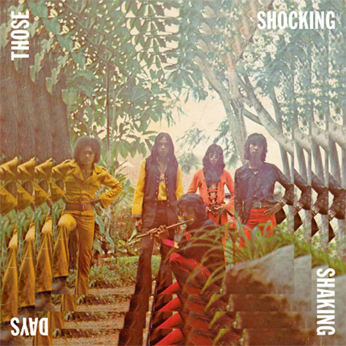 V/A - THOSE SHOCKING SHAKING DAYS LP