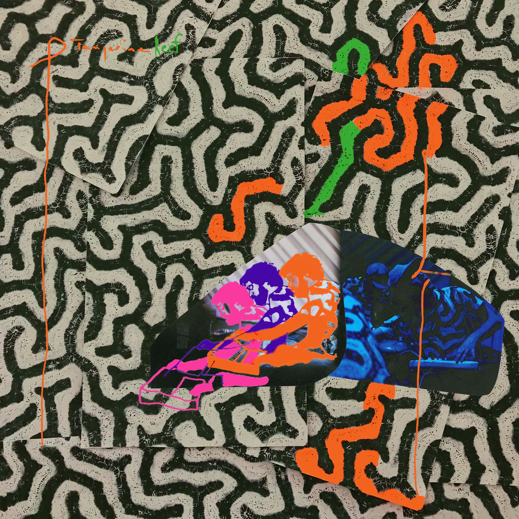 ANIMAL COLLECTIVE - TANGERINE REEF 2XLP