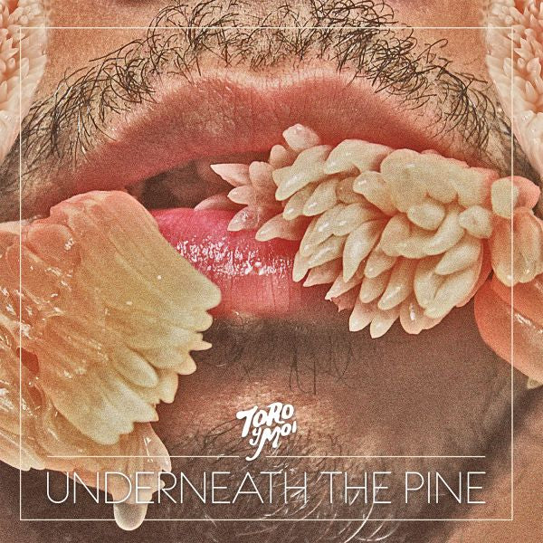 TORO Y MOI - UNDERNEATH THE PINE LP
